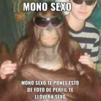 Free download Mono sexo [ Meme ] free photo or picture to be edited with GIMP online image editor